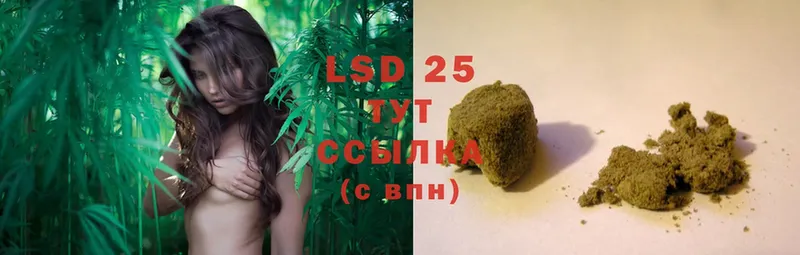 цена наркотик  Новоульяновск  МЕГА   LSD-25 экстази ecstasy 